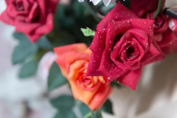 evrika-activities-saloon-4